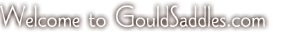 Welcome to GouldSaddles.com